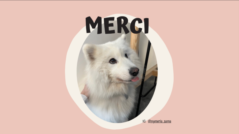 Capture d’écran 2025-04-09 à 18.47.37